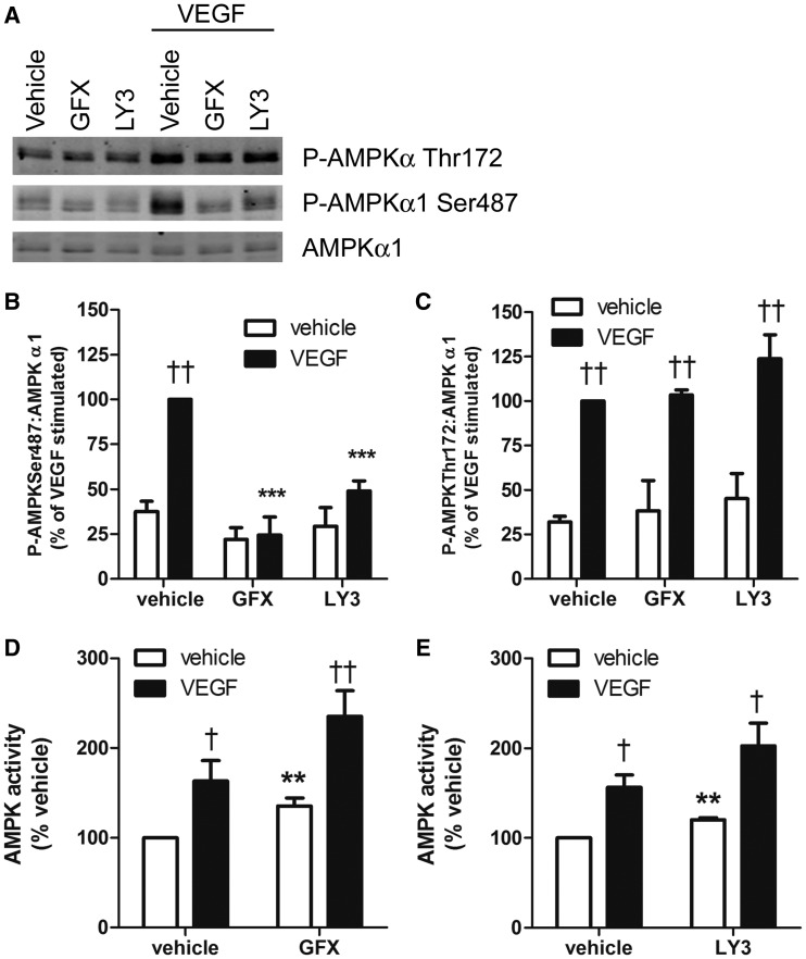 Figure 3.