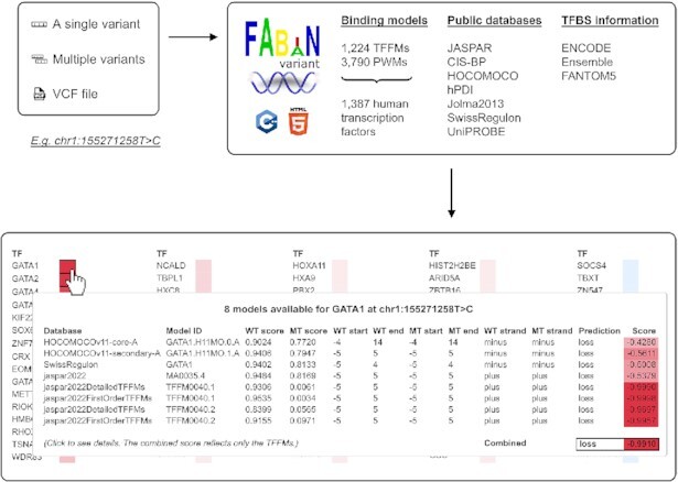 Graphical Abstract