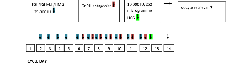 FIGURE 1