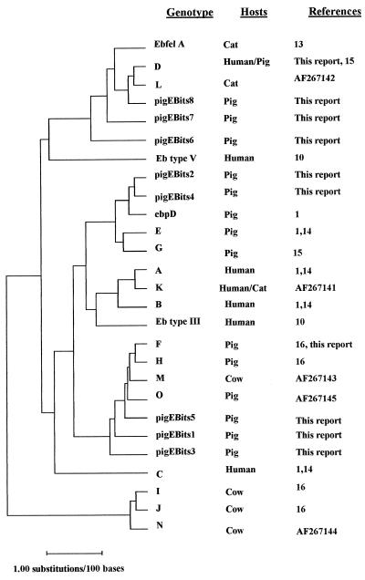 FIG. 1.