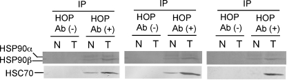 Fig. 5