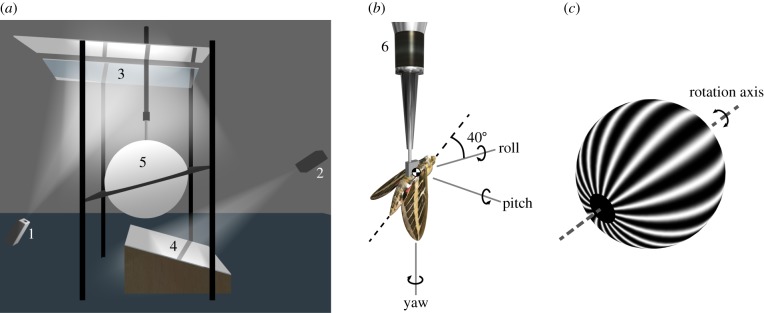 Figure 1.