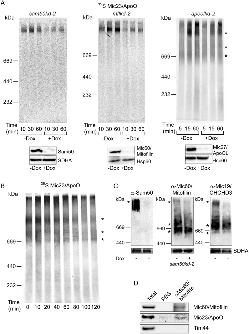 Fig 5