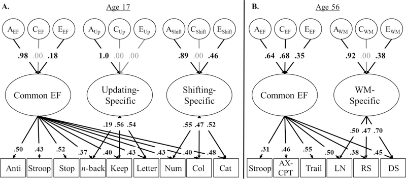 Figure 2: