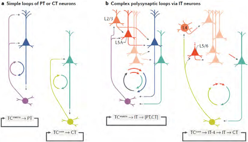 Fig. 3 ∣