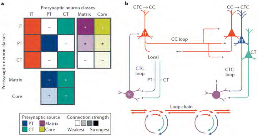 Fig. 4 ∣