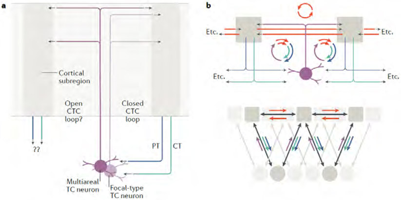 Fig. 7 ∣