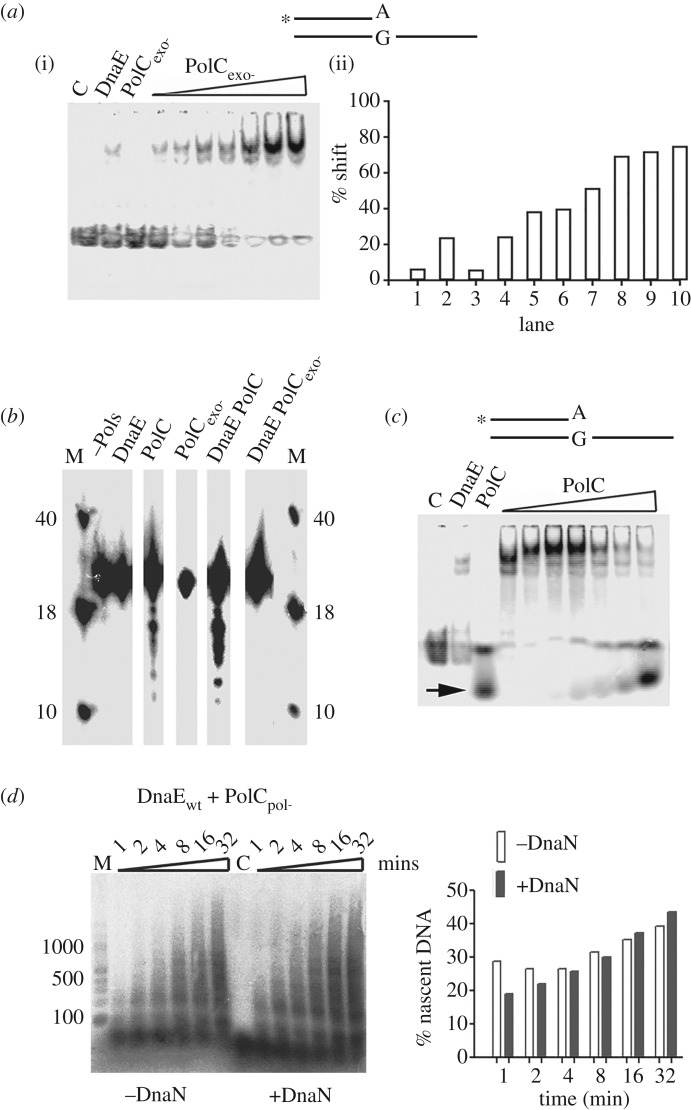 Figure 7.