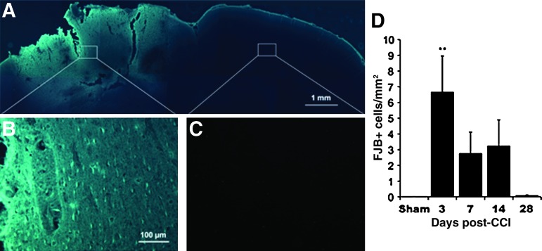 FIG. 5.