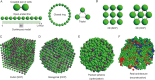 Examples of the different geometries used to represent multicellular models of pancreatic cells, including pairs of cells, and geometries in one, two and three dimensions.