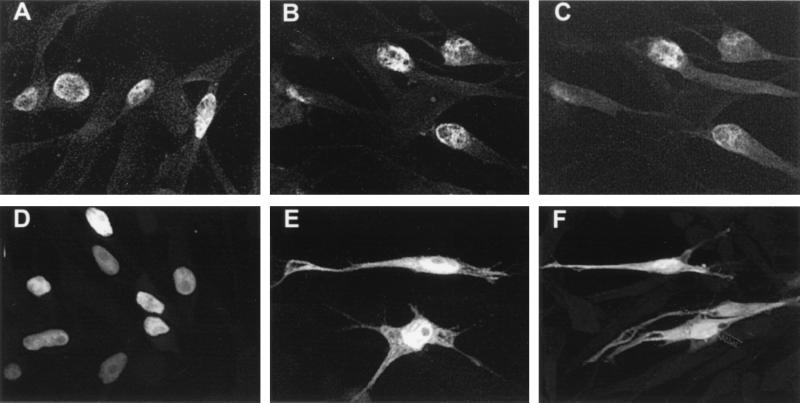 FIG. 8