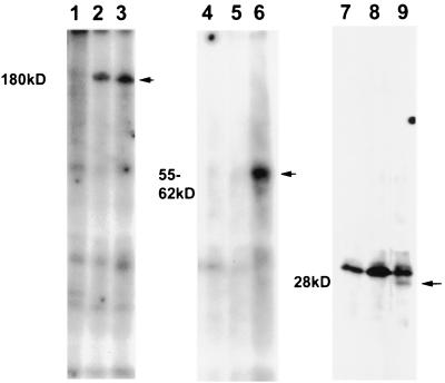 FIG. 10