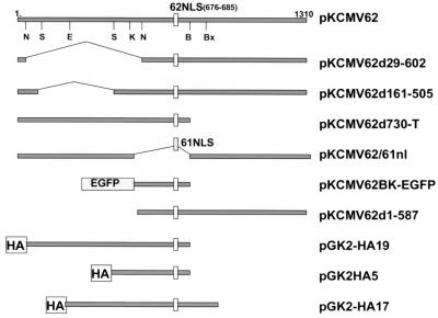 FIG. 6