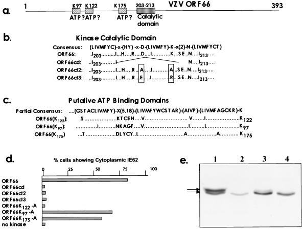 FIG. 5