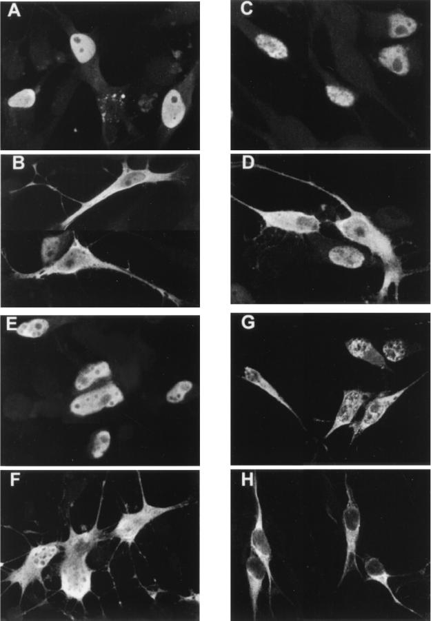 FIG. 7