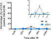 Figure 4—figure supplement 1.
