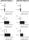 Figure 3—figure supplement 1.