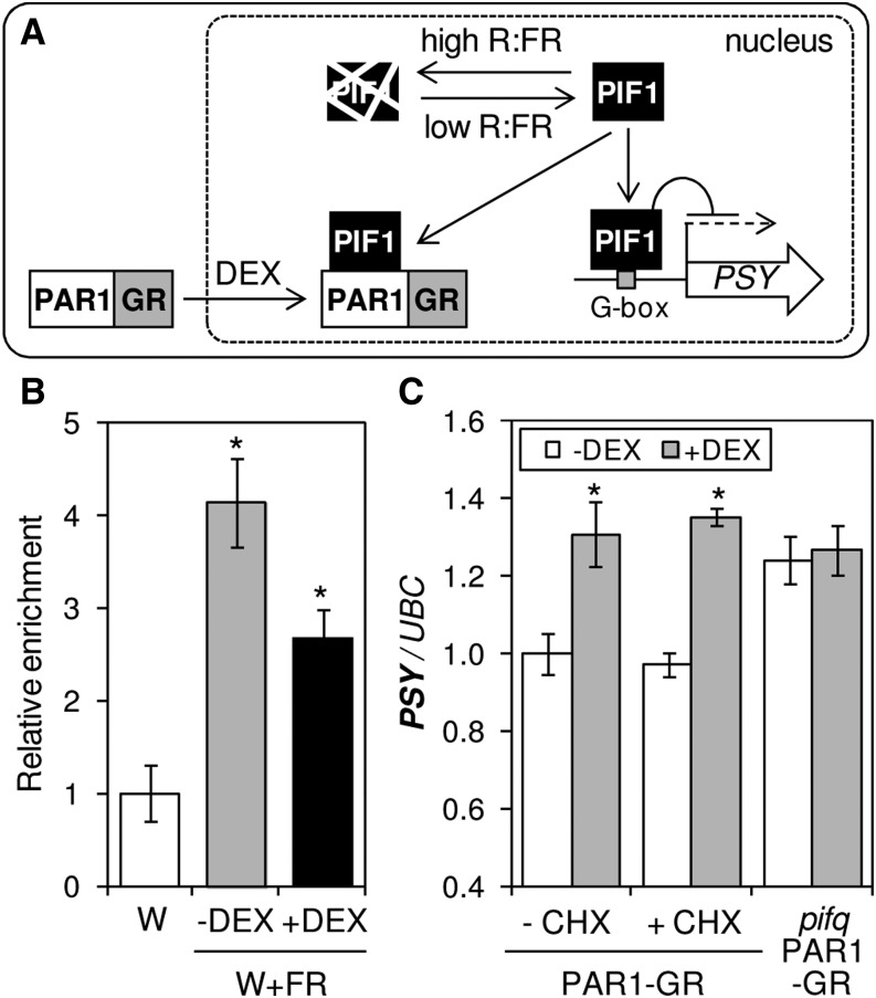 Figure 6.