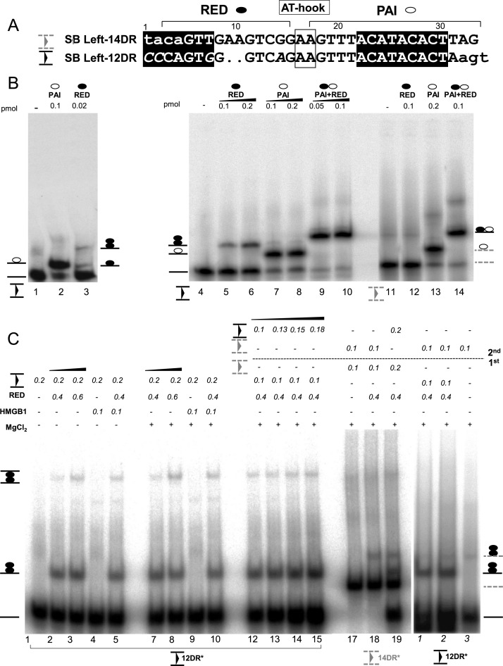 Figure 3.