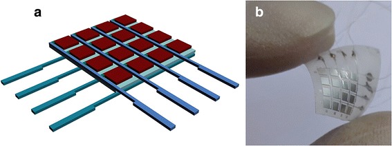 Fig. 1