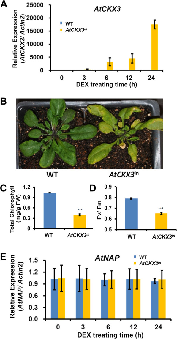 Fig. 2