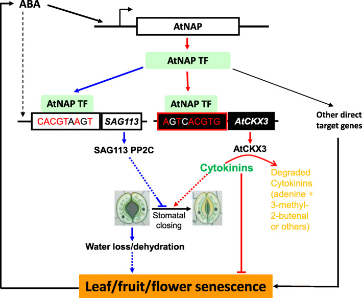 Fig. 7