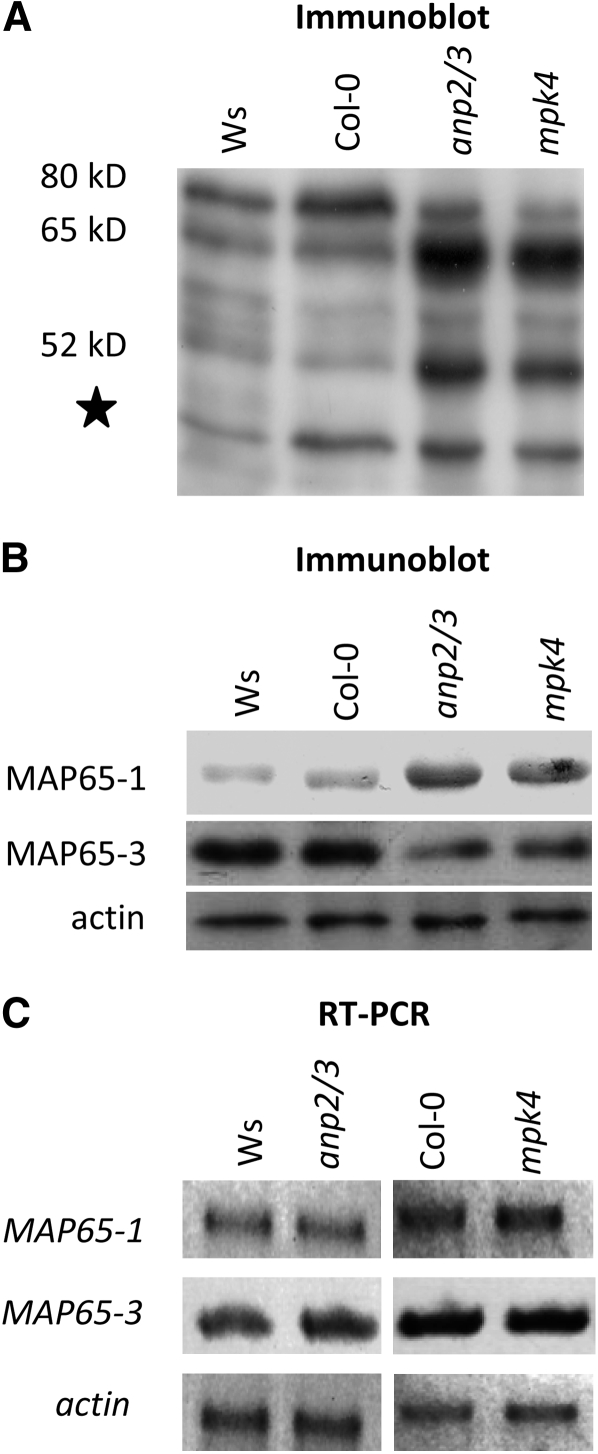 Figure 9.