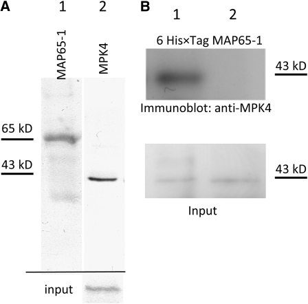 Figure 11.