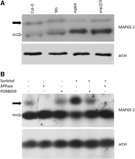 Figure 10.