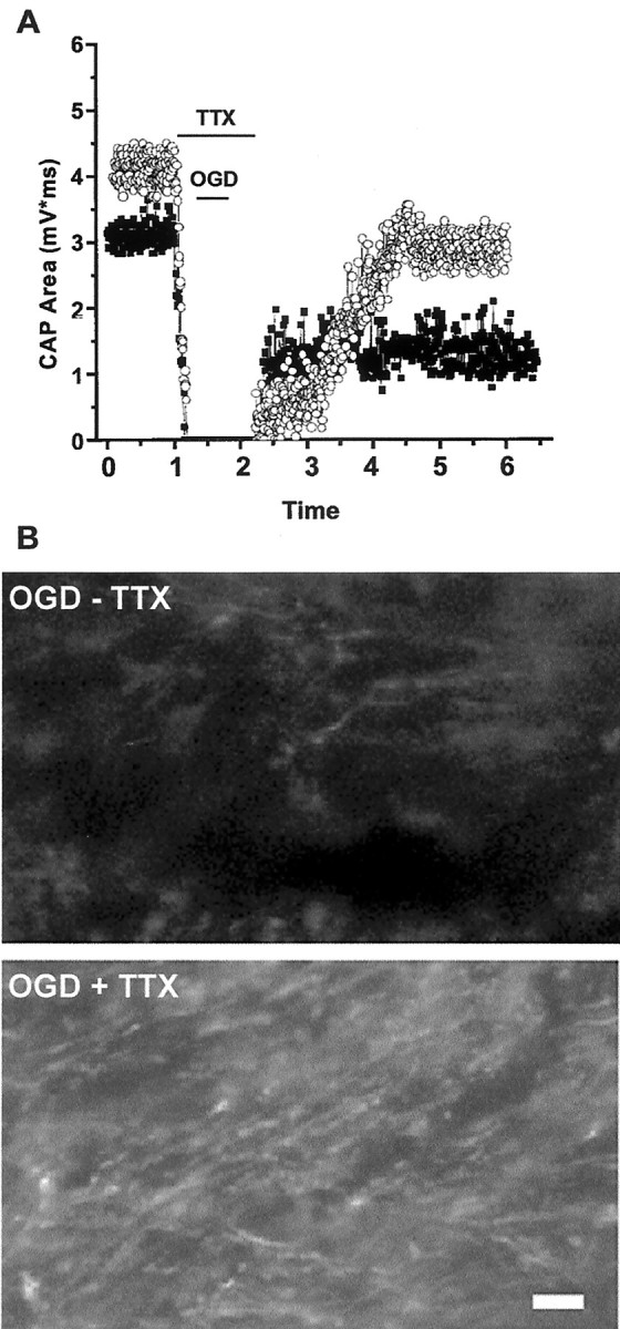 Fig. 9.