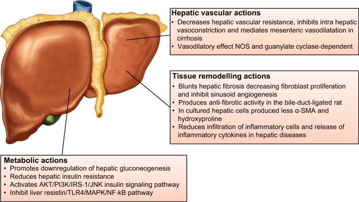 FIGURE 10.