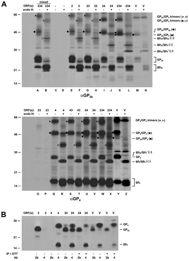 FIG. 9.