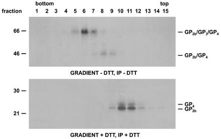 FIG. 8.