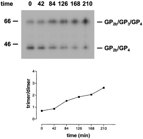 FIG. 4.