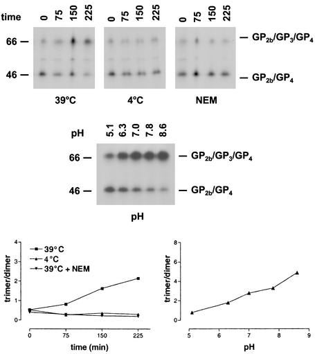 FIG. 5.