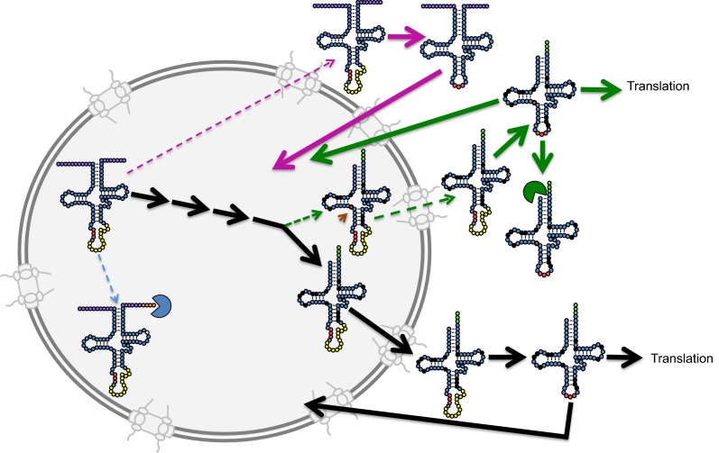 Fig. 4.