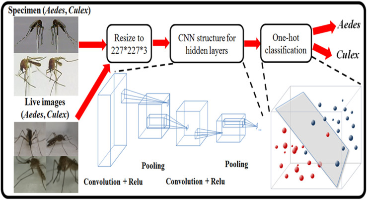 FIGURE 3