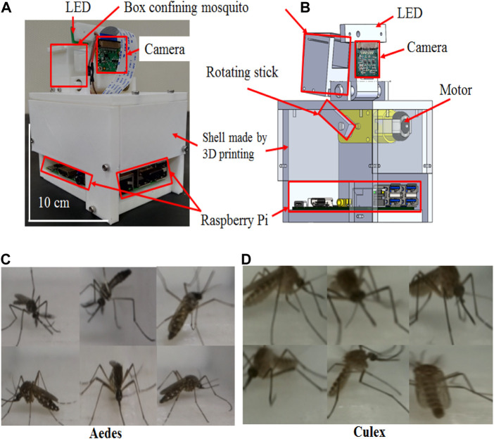 FIGURE 4