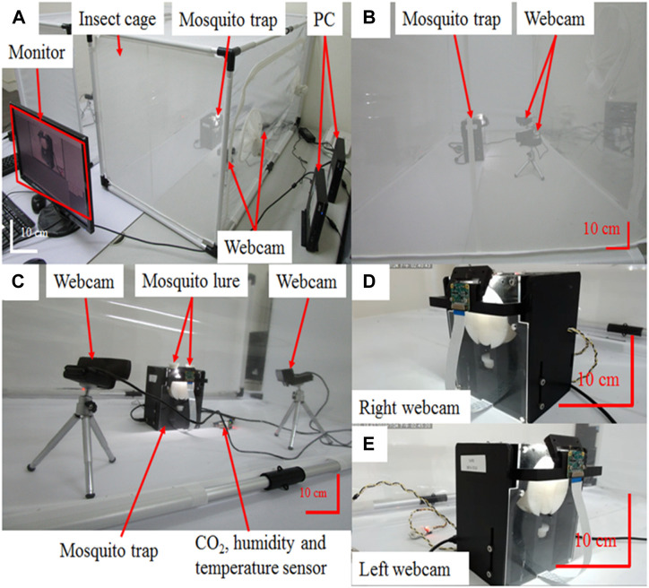 FIGURE 5