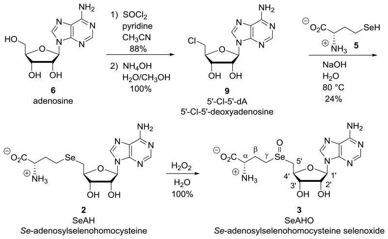 Scheme 2