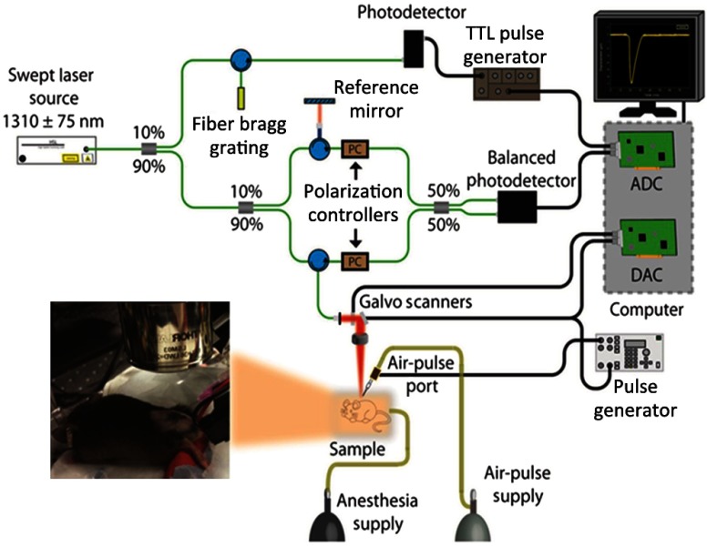 Fig. 1