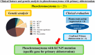 Graphical Abstract