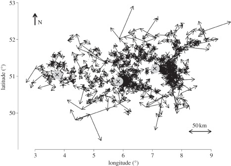 Figure 2.