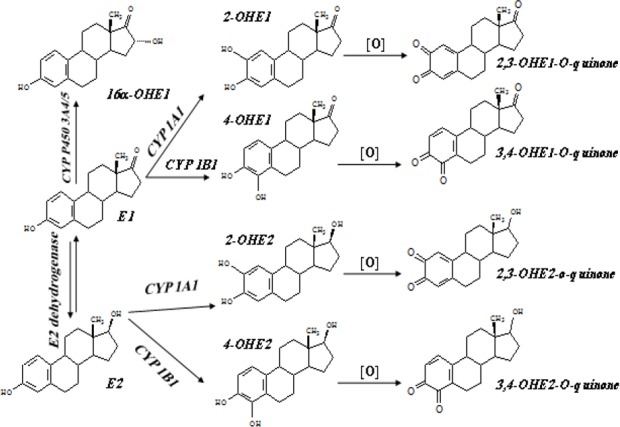 Fig. 2: