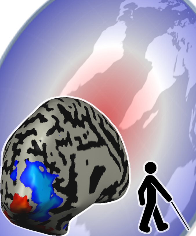 graphic file with name awv083fig1g.jpg
