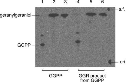 FIG. 5.