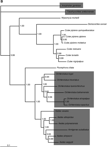 Figure 2.—