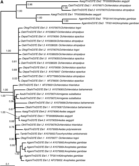 Figure 2.—