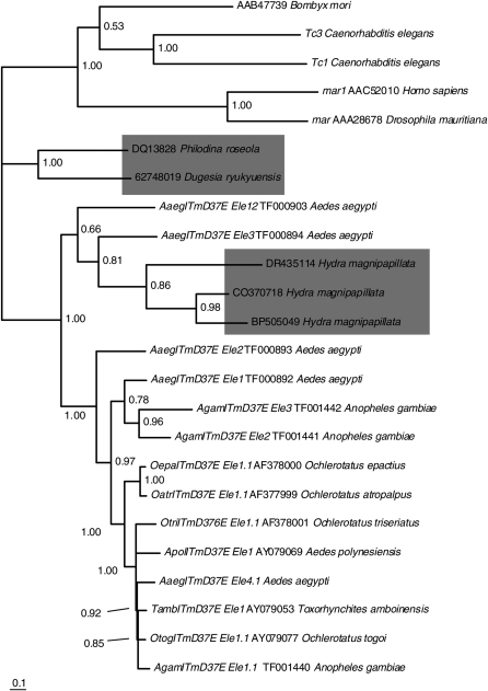 Figure 1.—