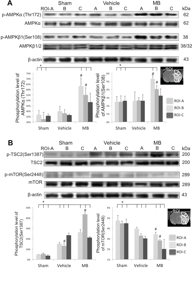 Fig 5